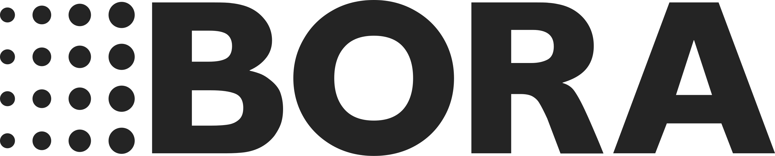 BORA logo